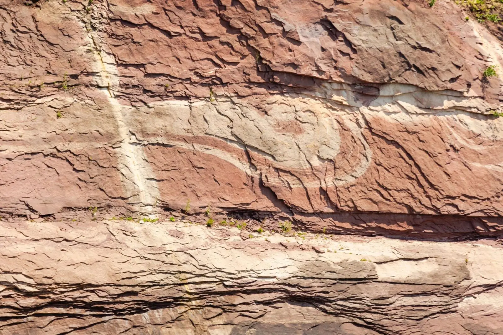 A close up of the side of a rock wall