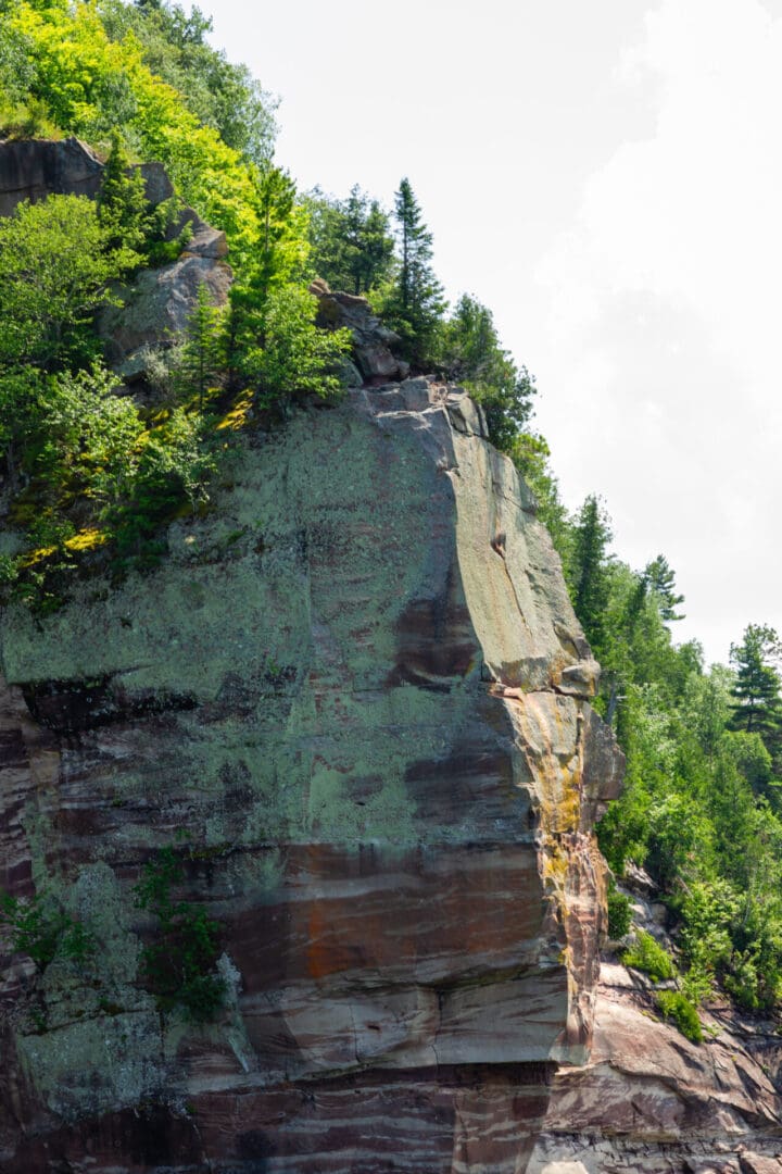 A rock face with trees on it's side.