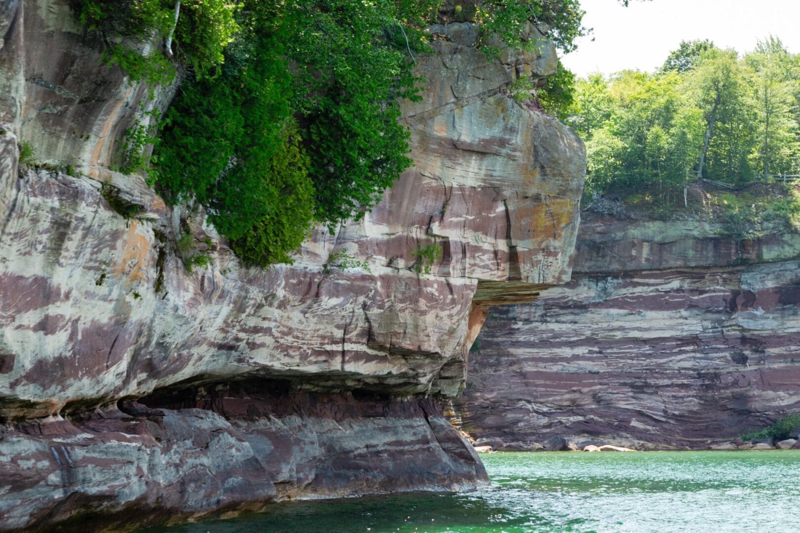 A rock formation with trees growing on it