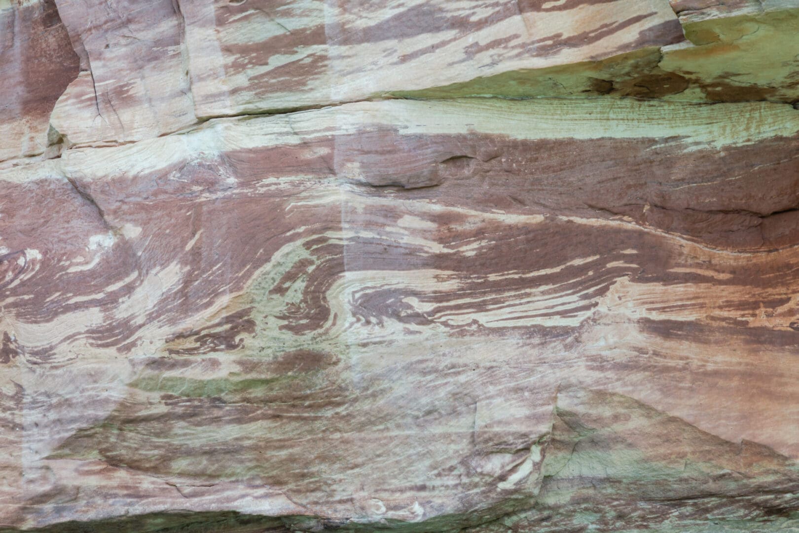 A close up of the surface of a rock