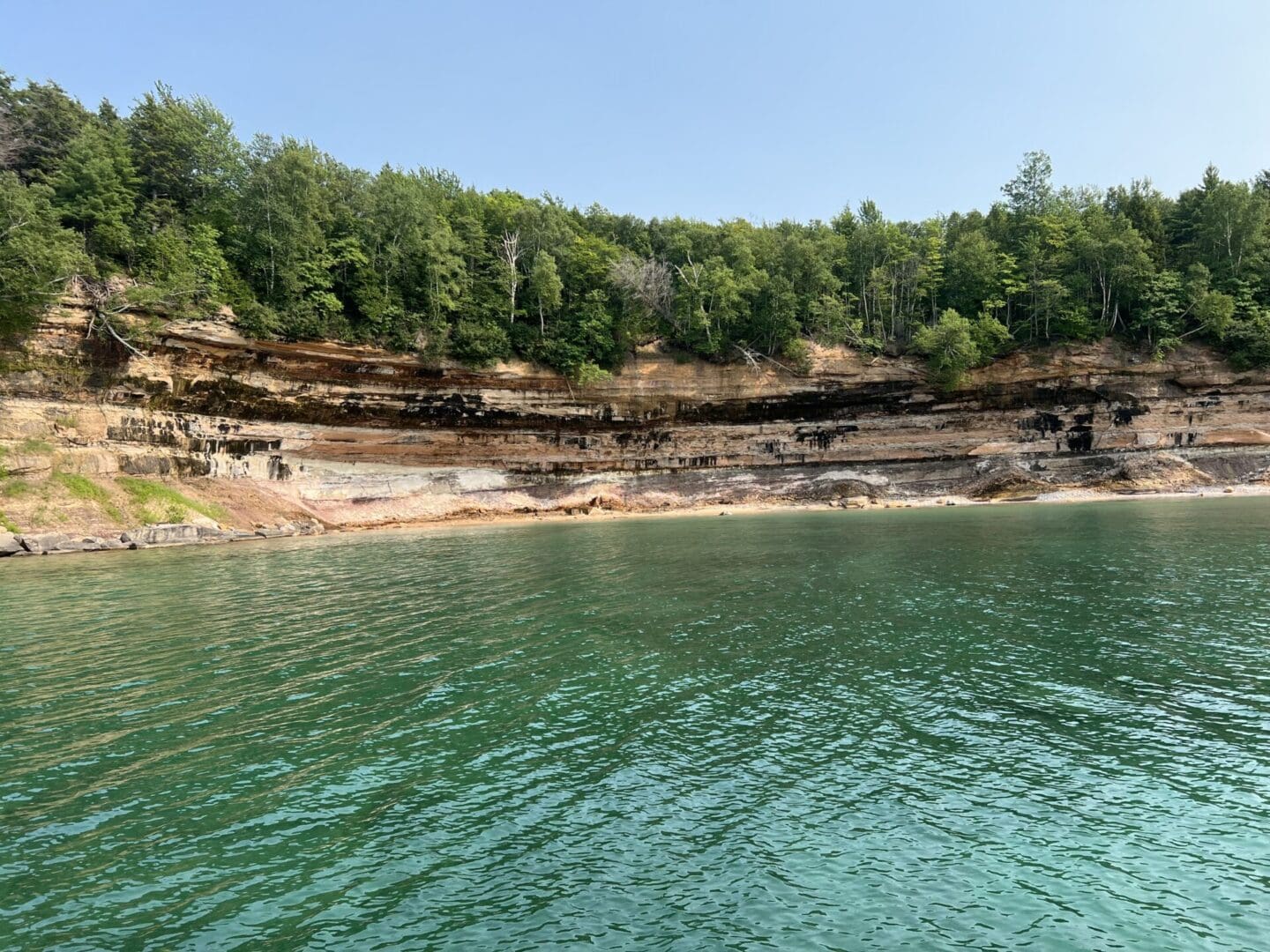 A body of water with trees in the background